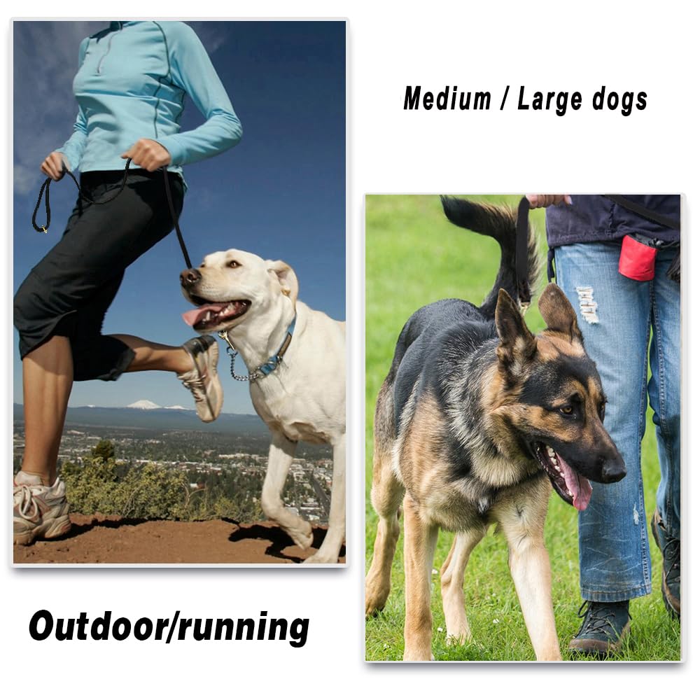 Lwbmg Leather Dog Leash, 4Ft, Black, 48 Inches X 0.75 Inches, Ideal For Small, Large Dogs, Training, Walking, Running