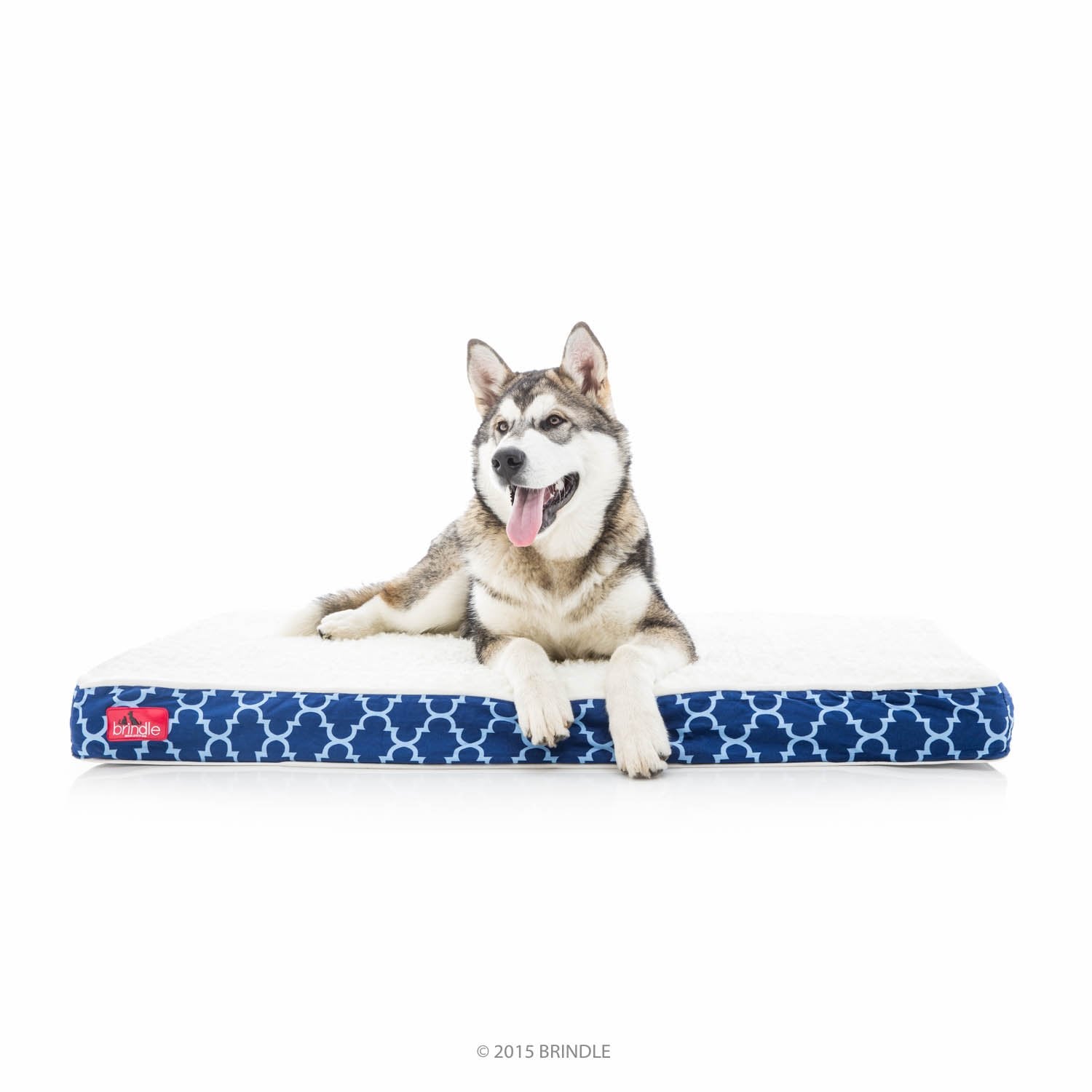 Brindle Waterproof Designer Memory Foam Pet Bed-Removable Machine Washable Cover-4 Inch Orthopedic Pet Bed-Joint Relief