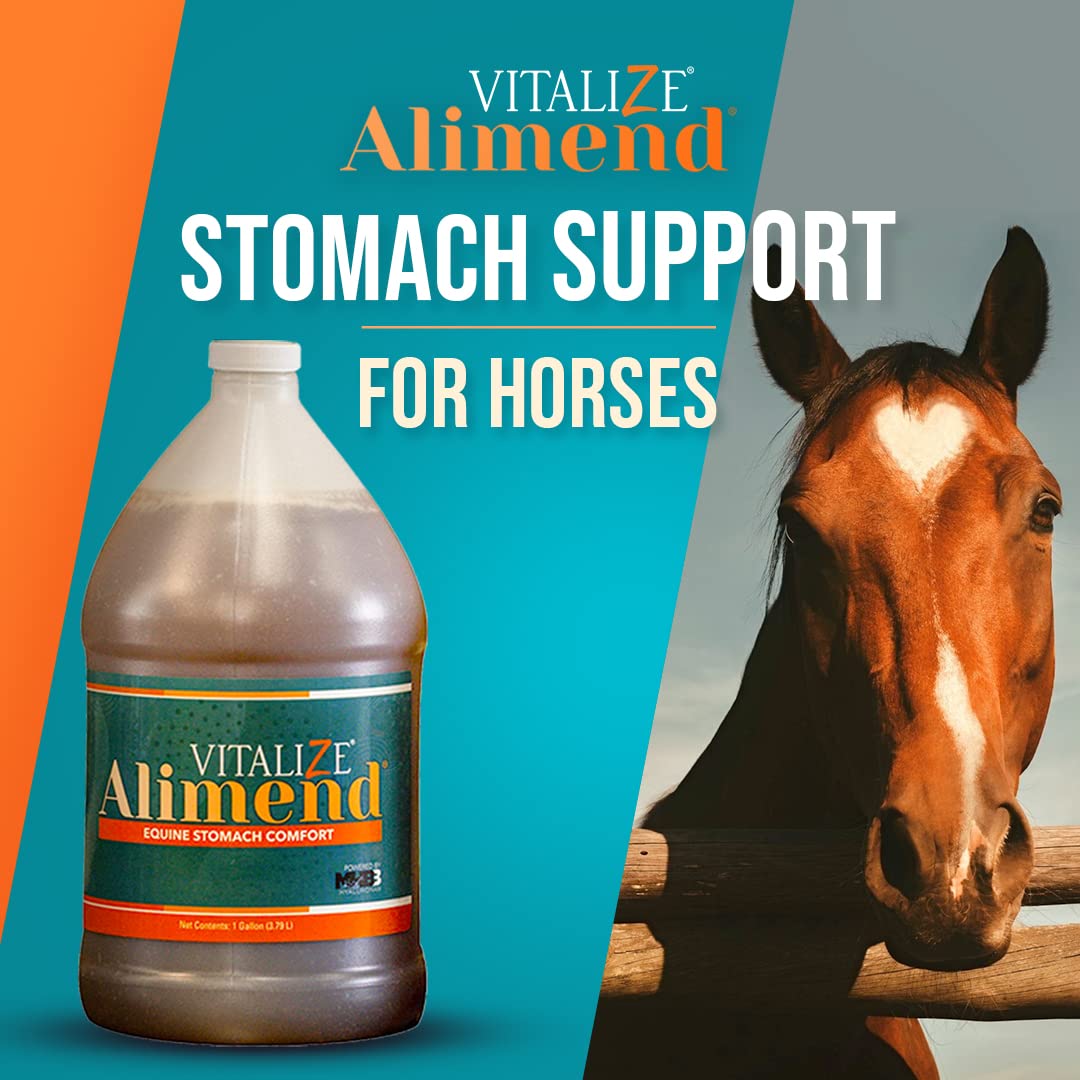 Vitalize Alimend Stomach Gastric Support for Horse, Equine Ulcer Support Solution - 64 fl oz (1893 ml)