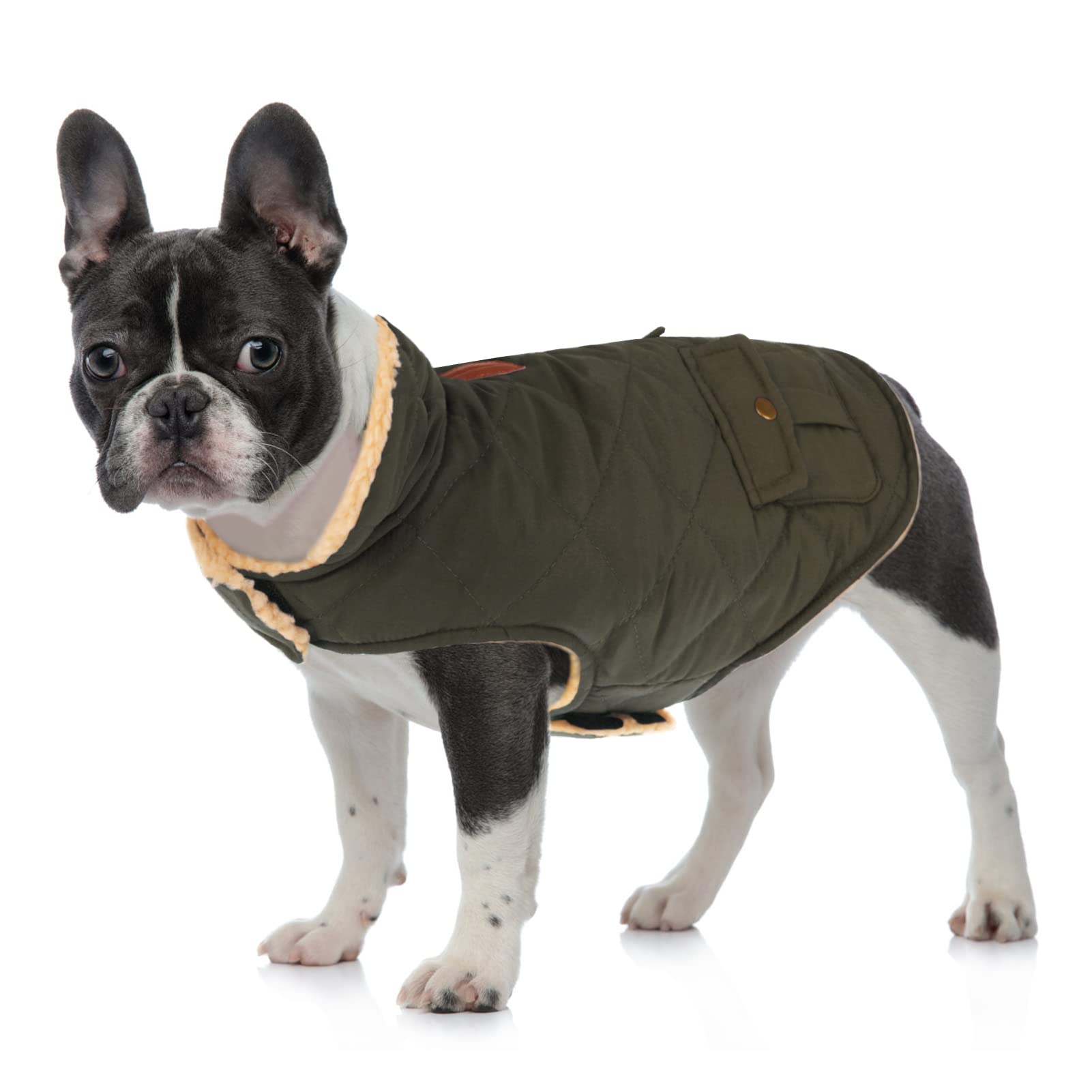 Queenmore Cold Weather Dog Coat, Winter Quilting Dog Jacket Ultra Warm Thick Plush Lining With Storage Pockets (Green, X-Small)