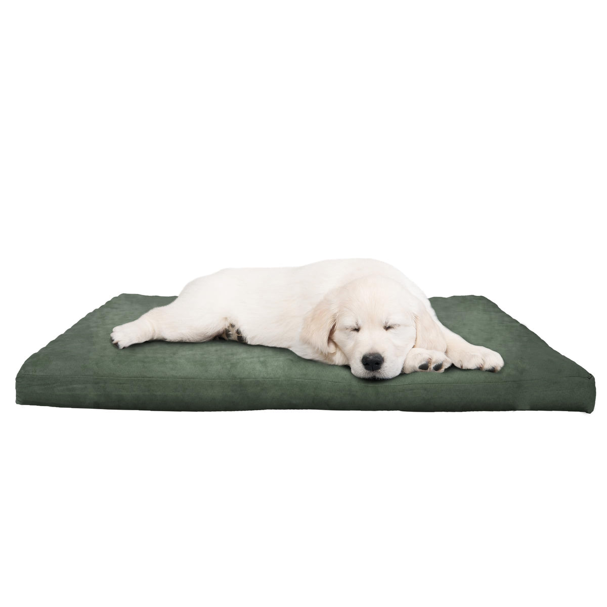 Water-Resistant Dog Bed - Orthopedic Dog Bed With Removable Washable Cover, Non-Slip Bottom, And Egg Crate Style Foam - 25.5In Small Pet Bed - Puppy Essentials By Petmaker (Green)