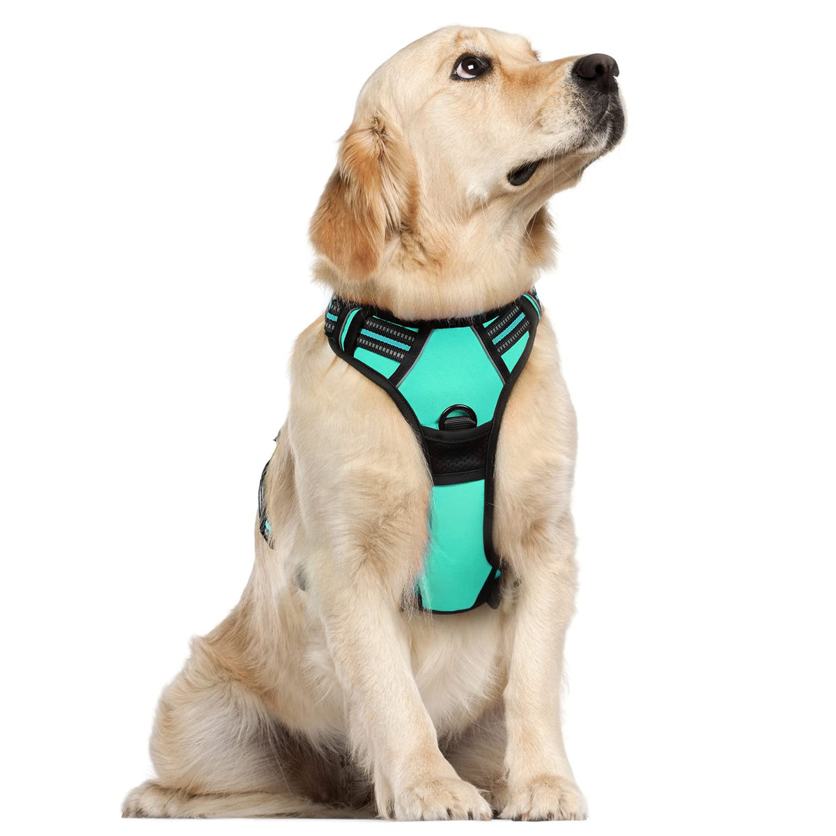 Rabbitgoo Dog Harness, No-Pull Pet Harness With 2 Leash Clips, Adjustable Soft Padded Dog Vest, Reflective No-Choke Pet Oxford Vest With Easy Control Handle For Large Dogs, Turquoise, L