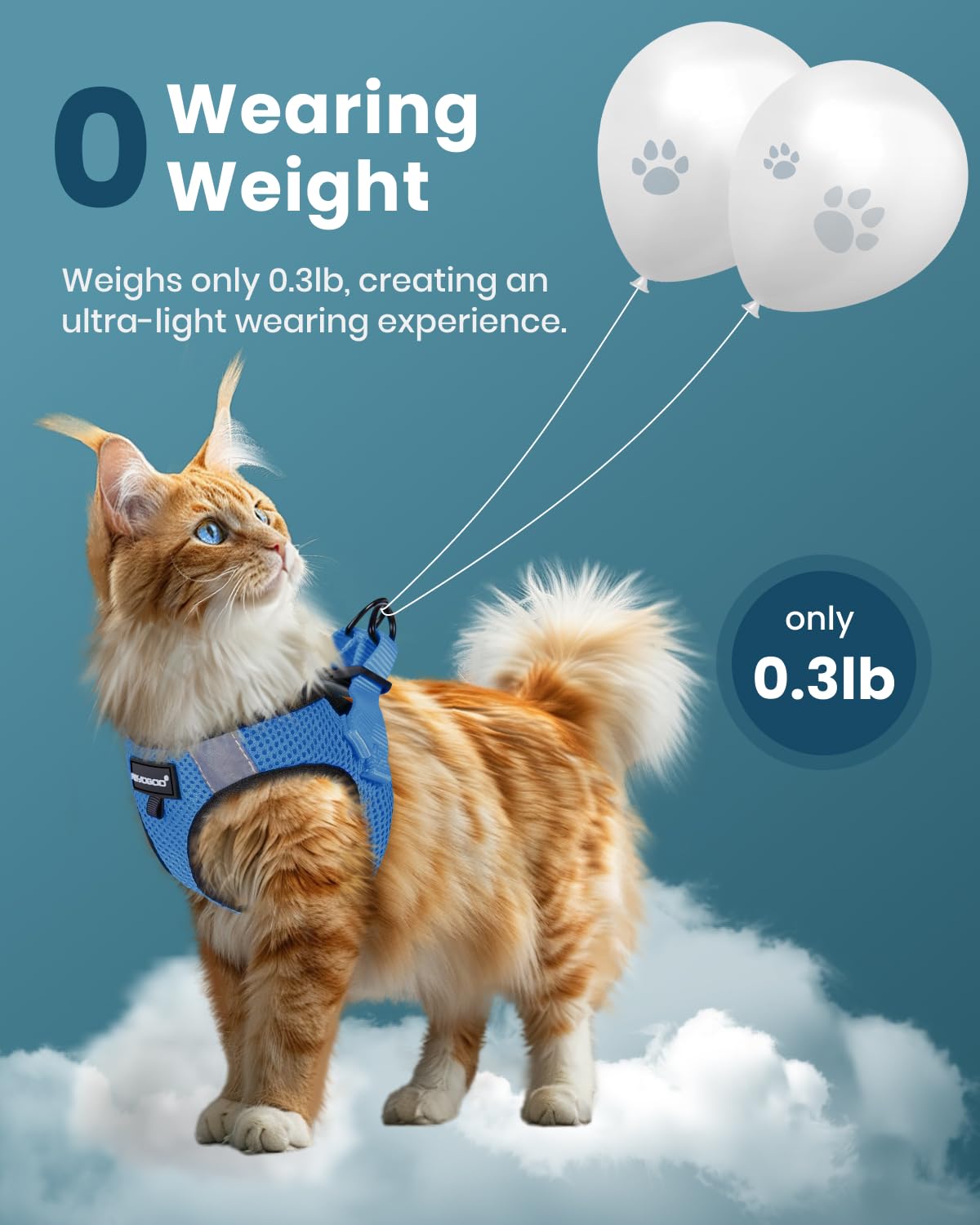 Fayogoo Cat Harness, Escape Proof, Ultra-Light & Comfortable, Reflective Night Safety, S-Xxl (Tranquil Teal, Small)