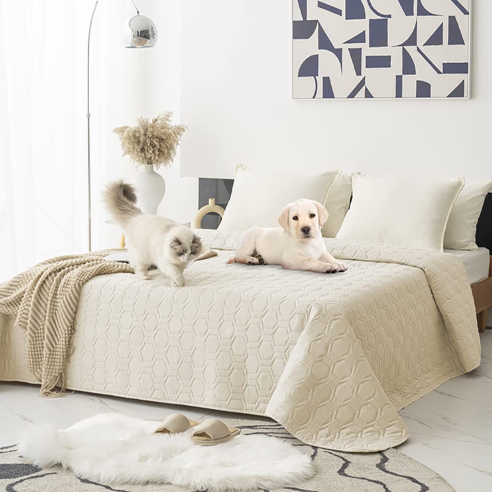 Tcksstex Waterproof & Anti-Slip Dog Bed Cover, 68x82 Inch, Ivory, Polyester - Incontinence Mattress Protector for Pets