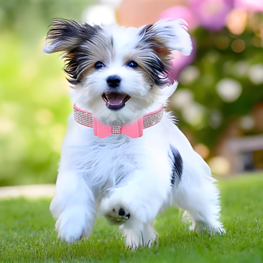 Rhinestone Dog Collar with Bow Tie, Cute Knot Crystal Bling Diamond Glitter Puppy Collars for XXS XS Small Medium Large Pet Girl