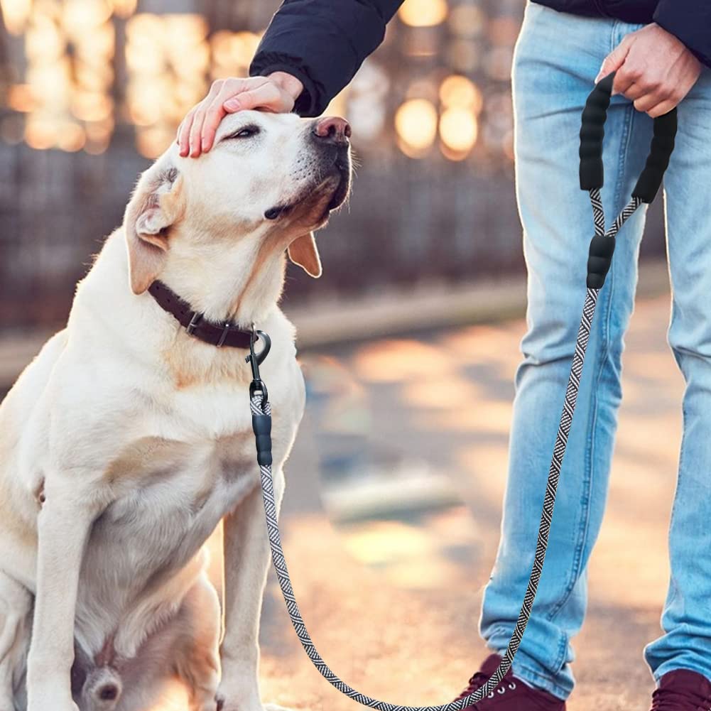 Maypaw Heavy Duty Rope Dog Leash, 3/4/5/7/6/8/10/12/15 Ft Nylon Pet Leash, Soft Padded Handle Thick Lead For Large Medium Dogs (