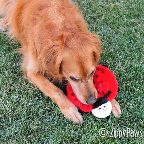 Zippypaws - Crawlers, 6-Squeaker Plush Dog Toy - Betsey The Ladybug