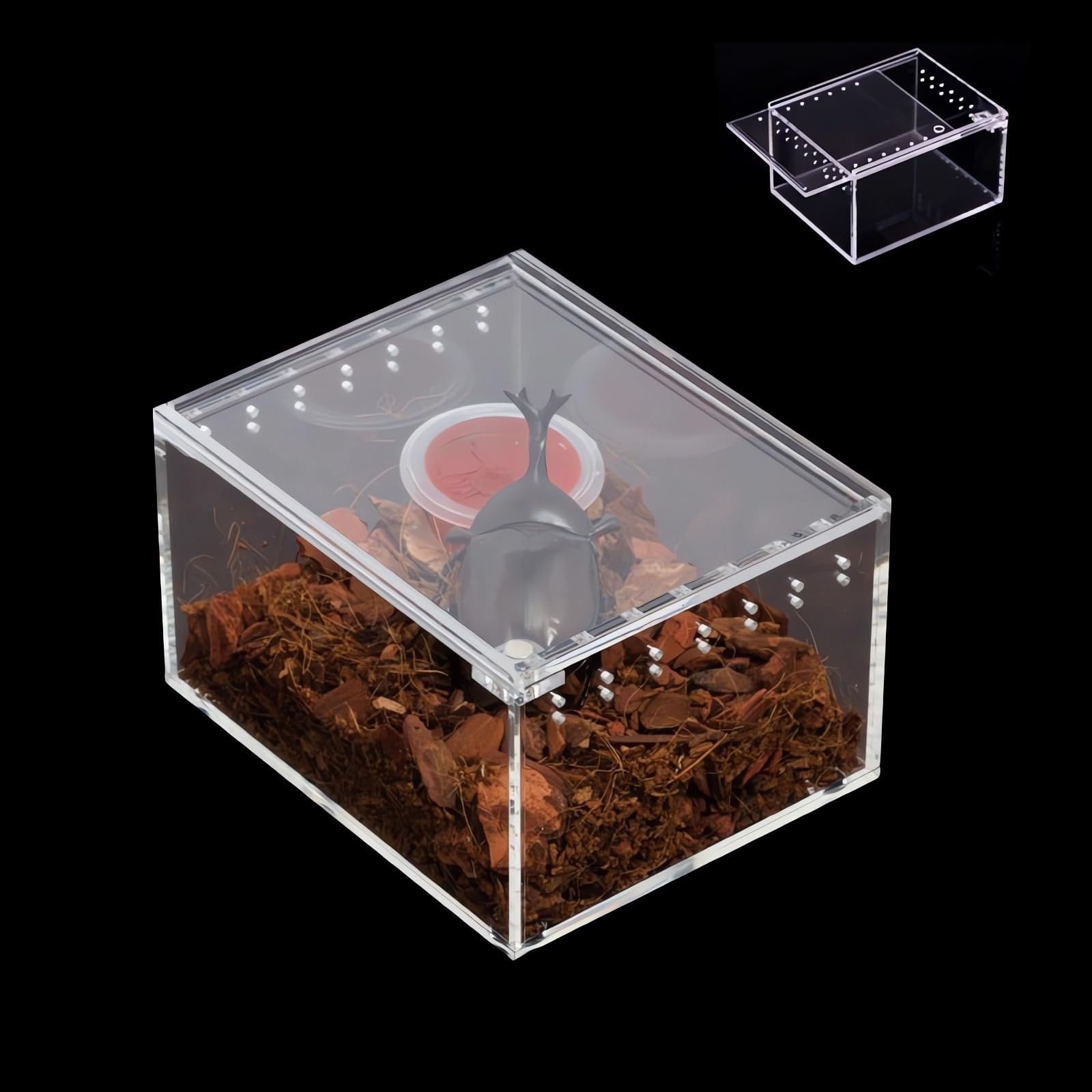 Insect breeding Box Reptile Feeding Box, Waterproof Enclosure Enclosure for arboreal Tarantula Scorpion Sling Lizards Snake Geck