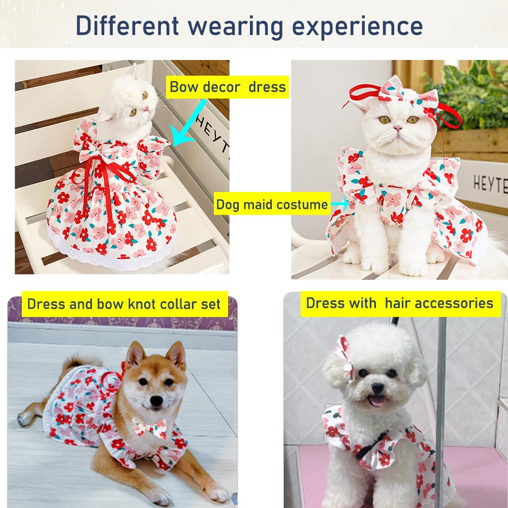 Aniac Floral Dog Dress With D-Ring - Cat Dress & Puppy Clothes For Small Dogs & Cats (Large, Floral)