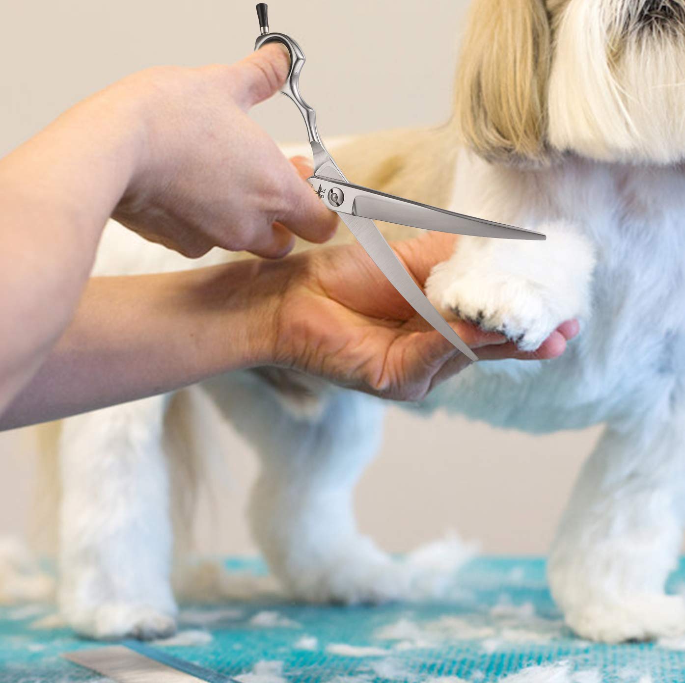 6.5 Inch Downward Curved Dog Grooming Scissors Pet Cutting Shears Professional Safety Blunt Tip Trimming Shearing For Dogs Cats Face Paws Limbs 6.5 Inch, 7 Inch Japanese Stainless Steel Silver