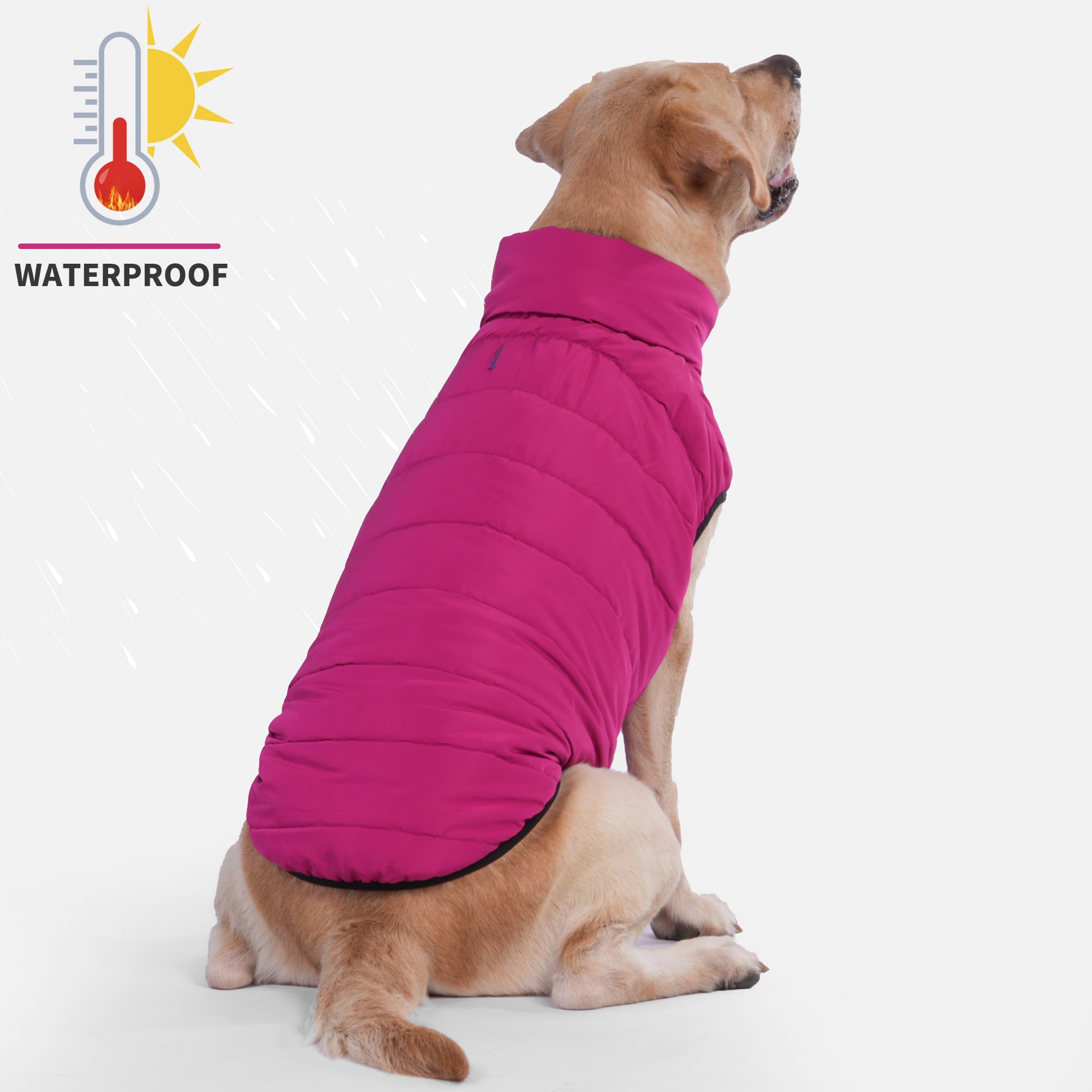 Lovinpet Dog Winter Jacket - Reversible Medium & Large Down Coat, Snap Button Down Jacket, Windproof, Snowproof & Waterproof, Du