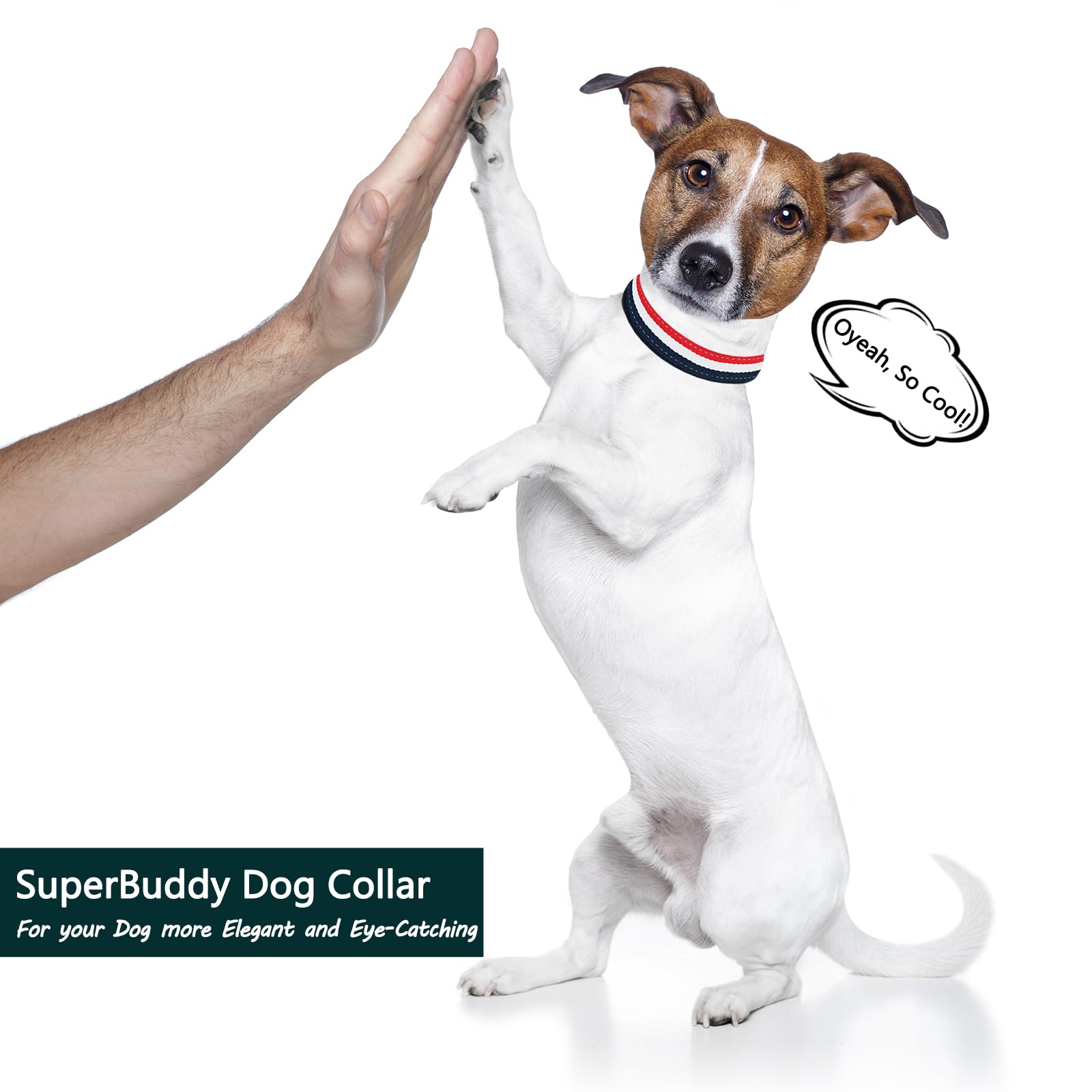 Nisiye Luxury Dog Collar, Cute Dog Collars, Durable Pet Collars With Metal Buckle Safety For Large Dogs