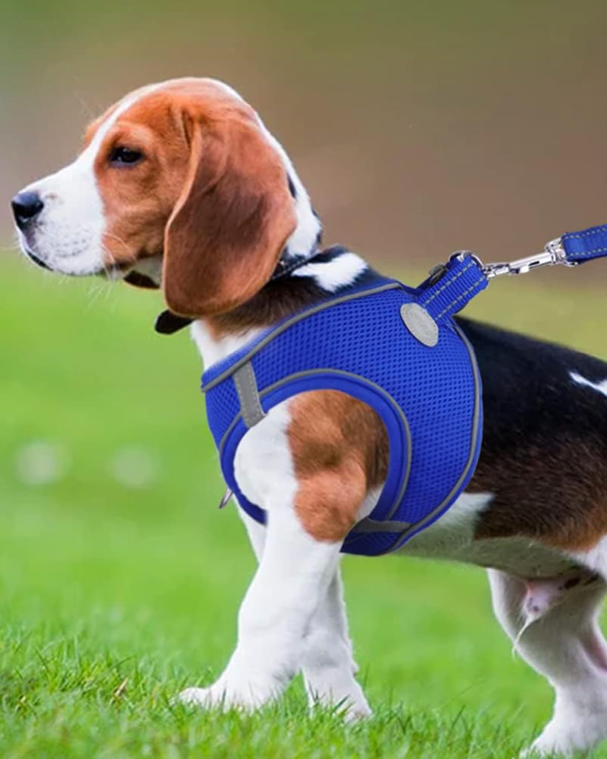 Joytale Small Dog Harness, Breathable Mesh Step-In Vest, Reflective Soft Padded Harnesses For Medium Dogs, Navy Blue, Xl