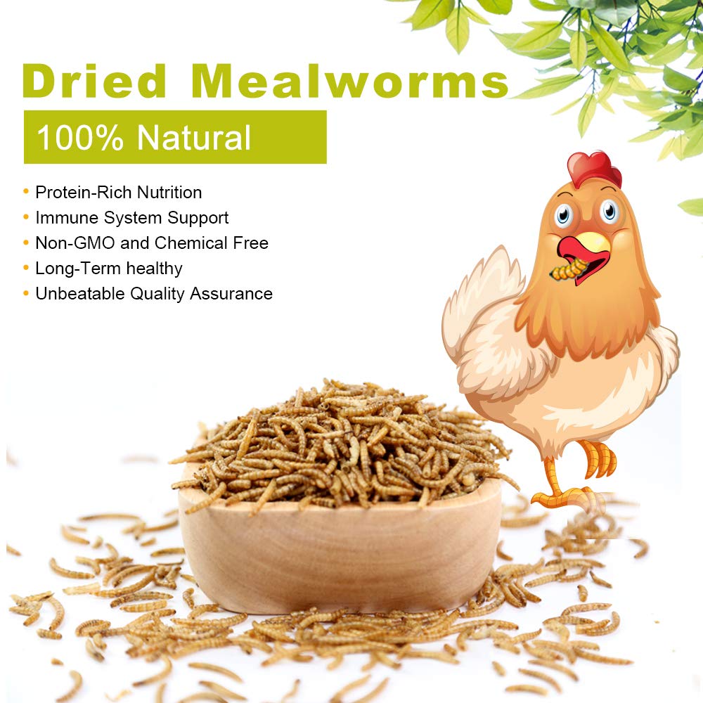 LuckyQworms 10lbs Mealworms, High-Protein Dried Mealworms for Birds, Chickens, Turtles, Fish, Hamsters and Hedgehogs, Non-GMO an