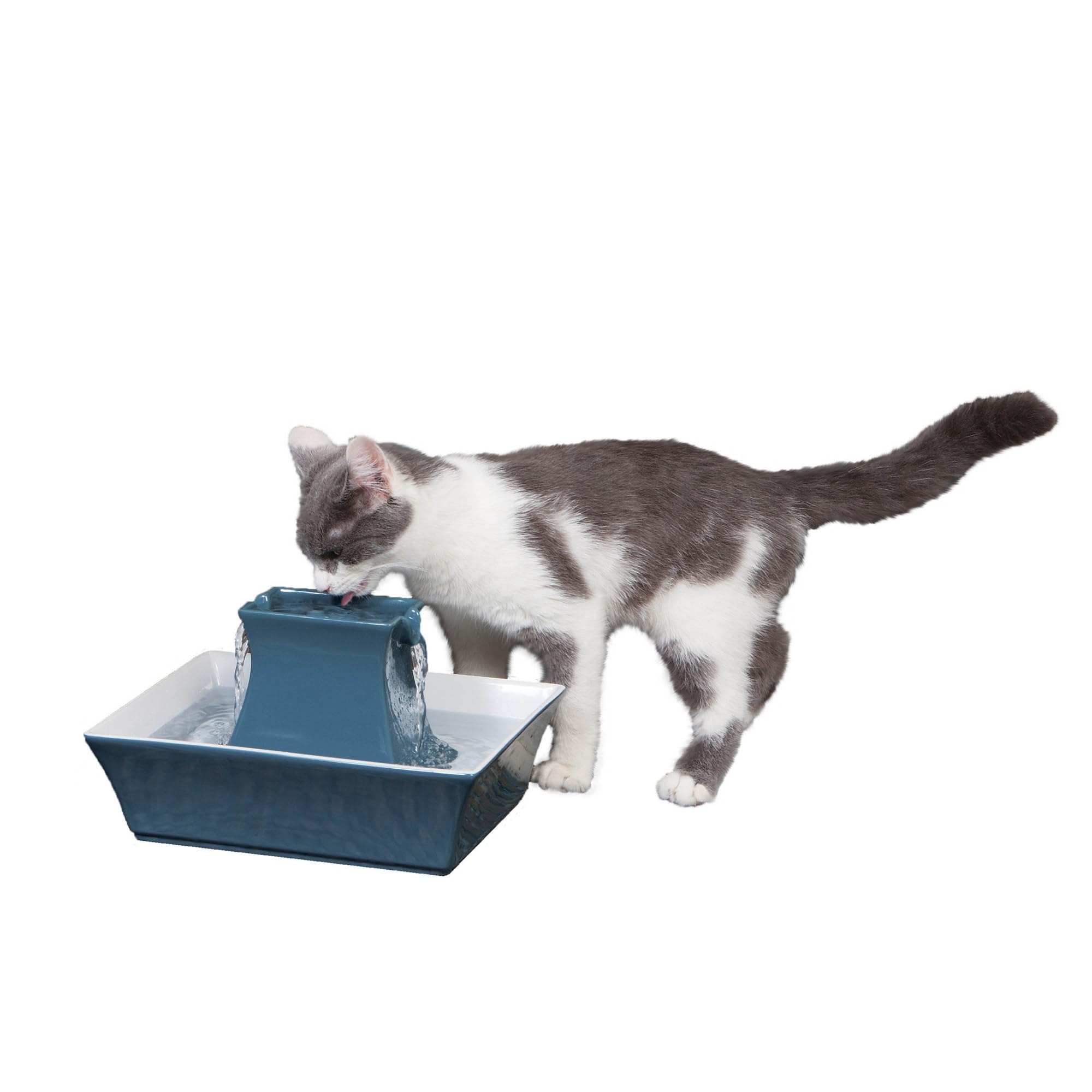 Petsafe Drinkwell Pagoda Pet Water Fountain (70 Oz/2.1 L) Ceramic Cat Water Fountain, Dog Water Fountain Made Of Premium, Scratch-Resistant Material, Automatic Indoor Fountain, Blue