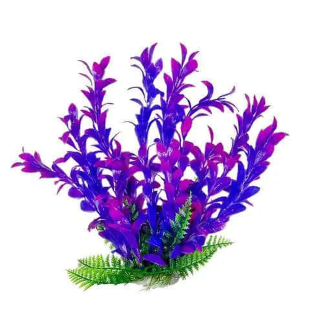 Aquatop 38201438: Plant, Hygro Pink/Purple 6In