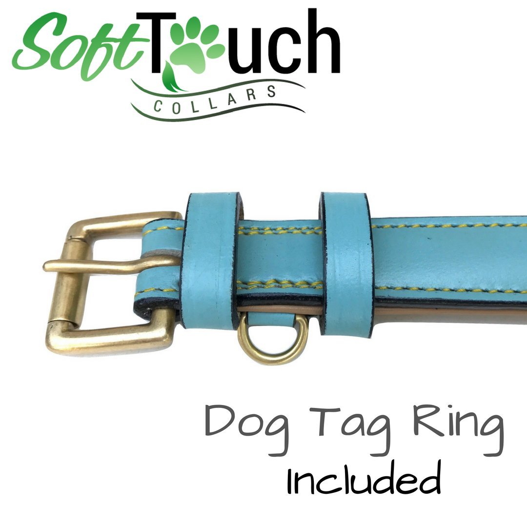 Soft Touch Collars Leather Dog Collar Padded, Turquoise With Beige Padding, Medium Size