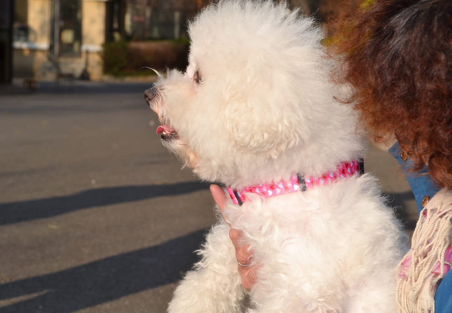 Mihqy Valentine'S Day Dog Collar - Adjustable Heart Dog Collar - Love Theme - Perfect For Small Medium Large Dogs(Pink Heart,M)