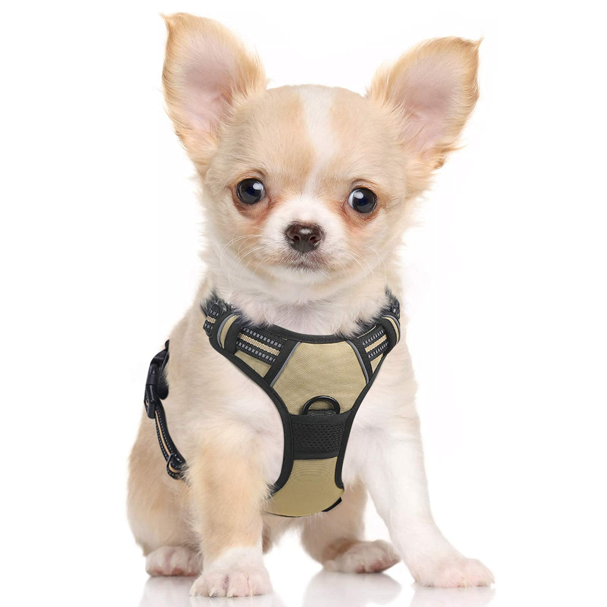 Rabbitgoo Dog Harness, No-Pull Pet Harness With 2 Leash Clips, Adjustable Soft Padded Dog Vest, Reflective No-Choke Pet Oxford Vest With Easy Control Handle For Small Dogs, Beige, S