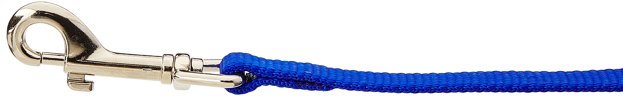 Coastal - Single-Ply Dog Leash, Blue, 5/8'' X 6'