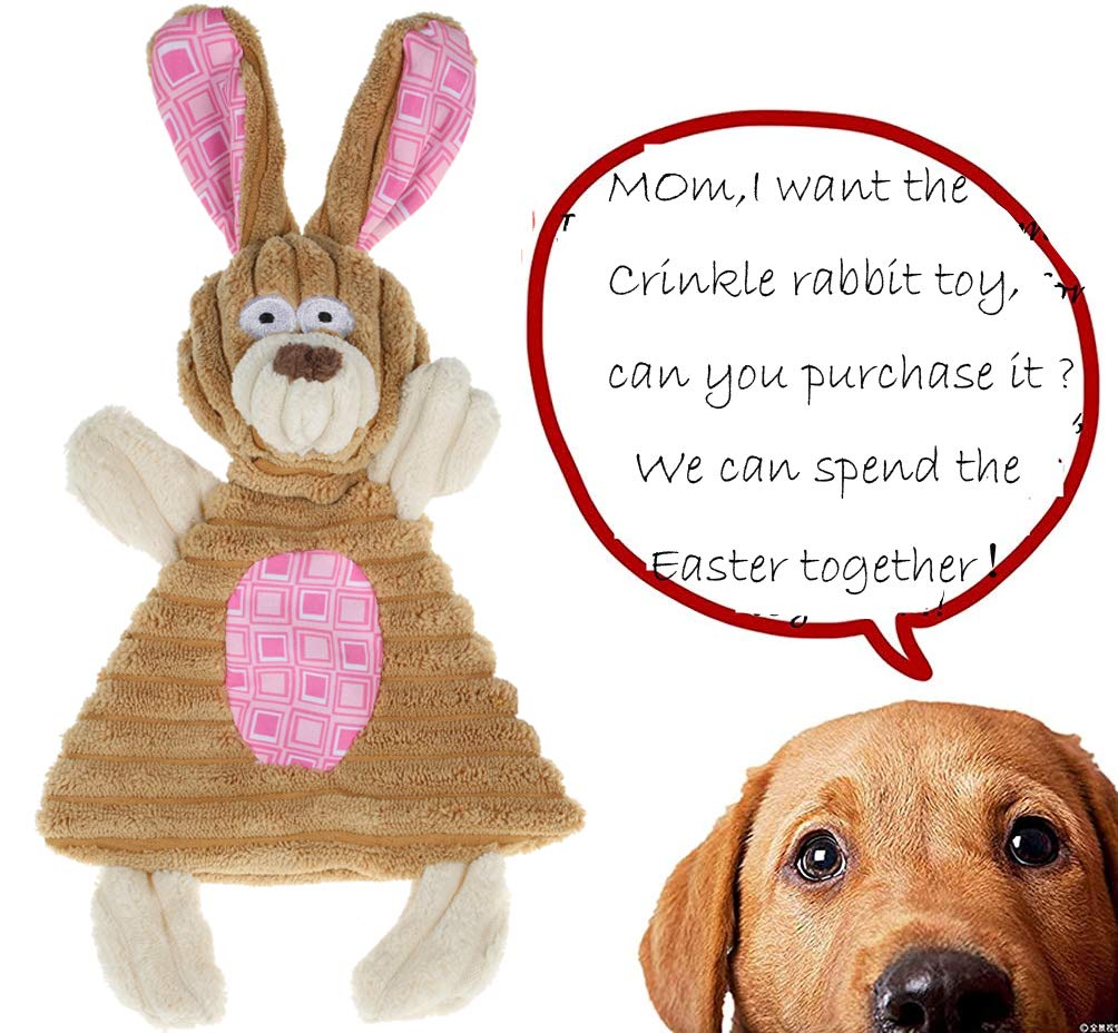 Boombone Easter Dog Toys For Small Dogs 2 Pack, Carrot Dog Rope Toy And Bunny Crinkle Puppy Toy