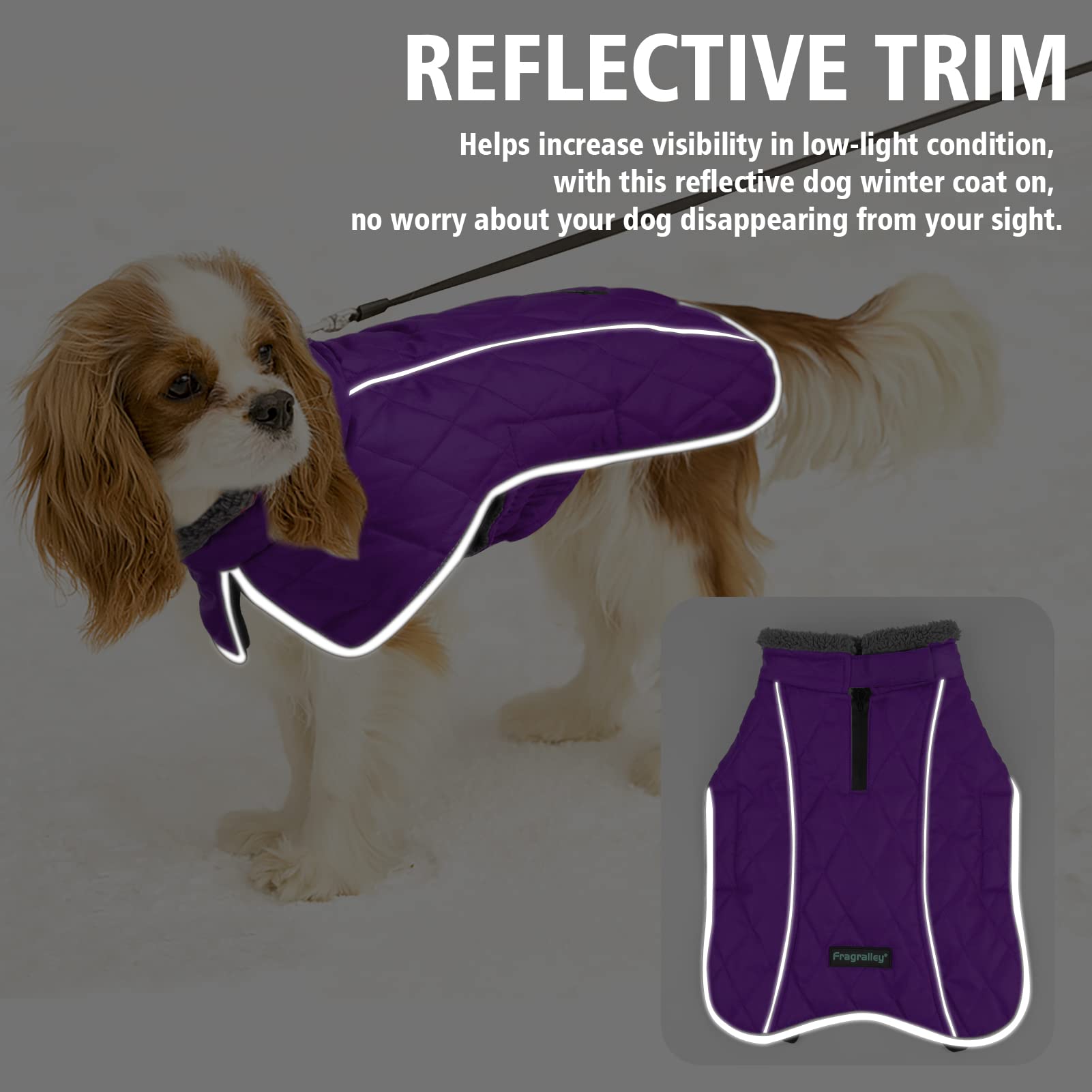 Fragralley Waterproof Dog Coat Small, Fleece Lined, Adjustable Reflective Winter Jacket, Purple S, Model TC2011