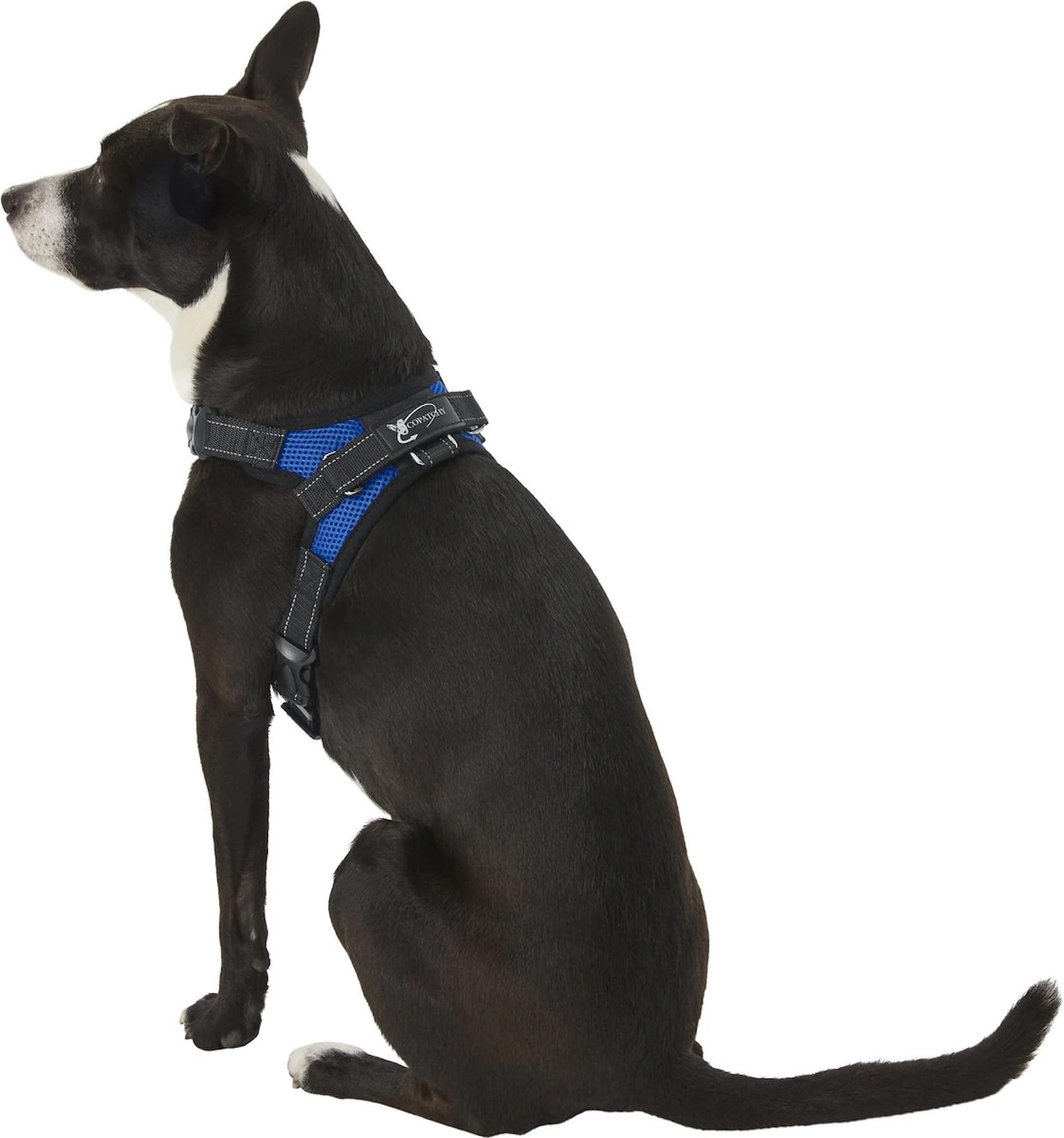 Copatchy Dog Harness Small Sized Dog - All Weather Mesh Overhead Adjustable No Pull Vest Puppy Reflective Harness With Handle For Small And Medium Dogs By Copatchy - Harness (Blue) Small