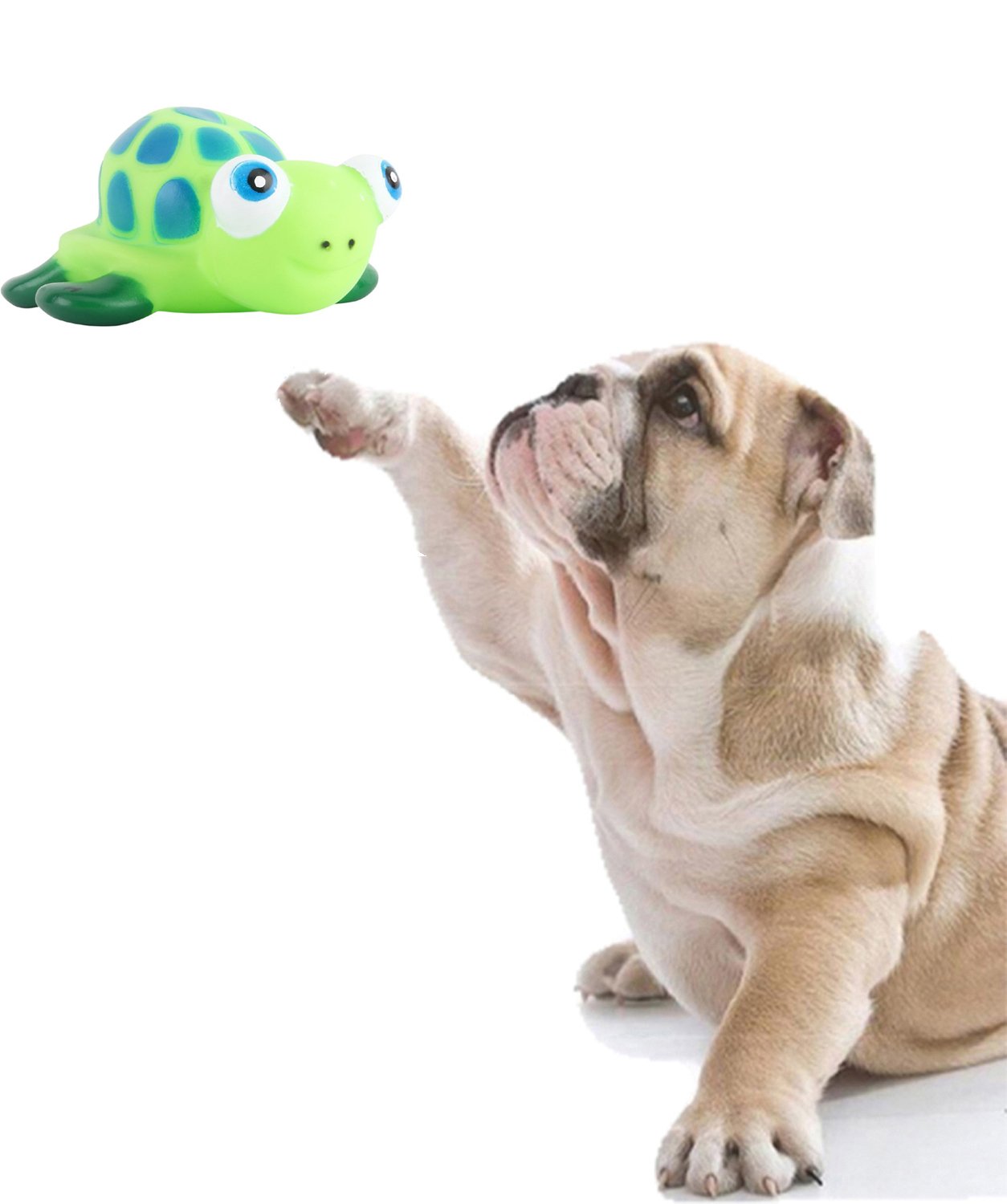 Sage Square Natural Rubber Squeaky Cum Chew Turtle Shape Toy For Dog/Puppy/Cat/Kitten