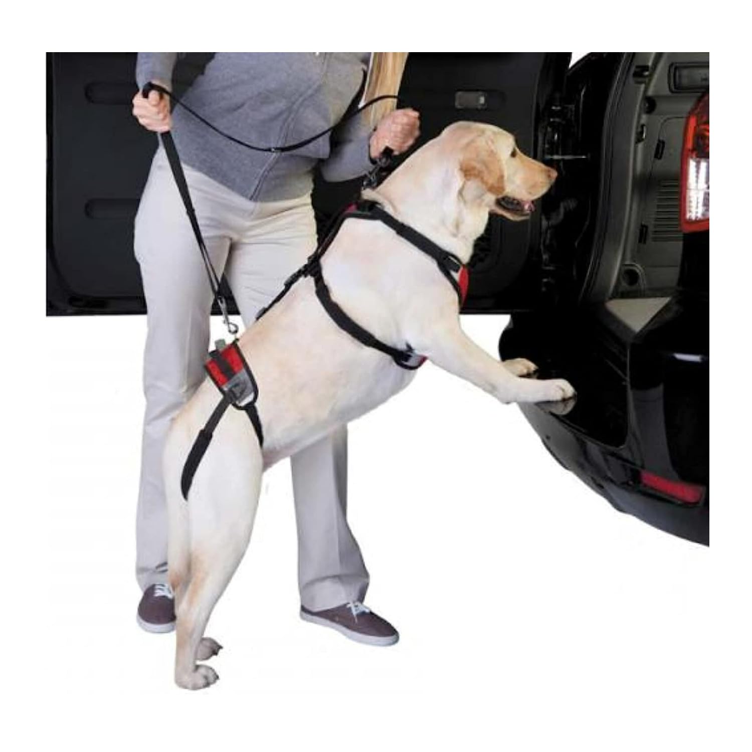 Total Pet Health Lift And Go Dog Lead, Large, Red