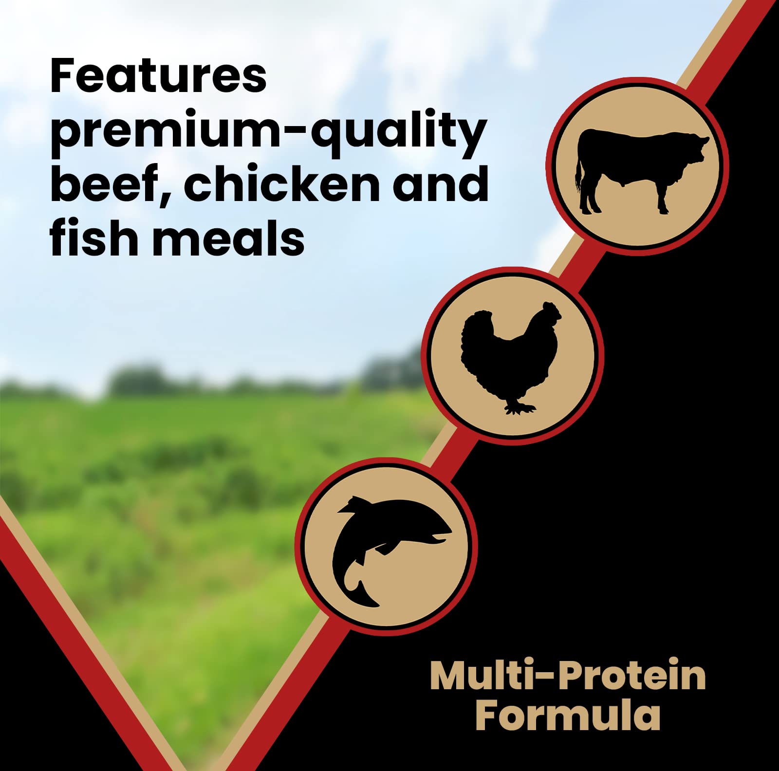 Victor Super Premium Dog Food - Purpose - Nutra Pro - Gluten Free, High Protein Low Carb Dry Dog Food for Active Dogs of All Age