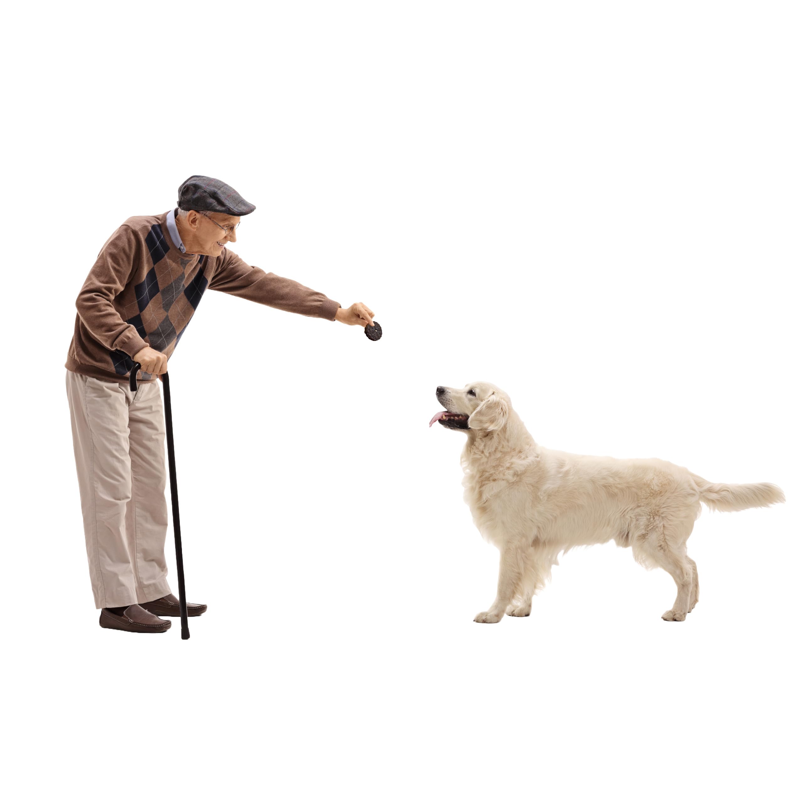Exclusively Dog Carob Sandwich Cremes Cookies - All Natural Dog Treats, No Animal Byproducts, Baked in The USA, Ideal for Medium