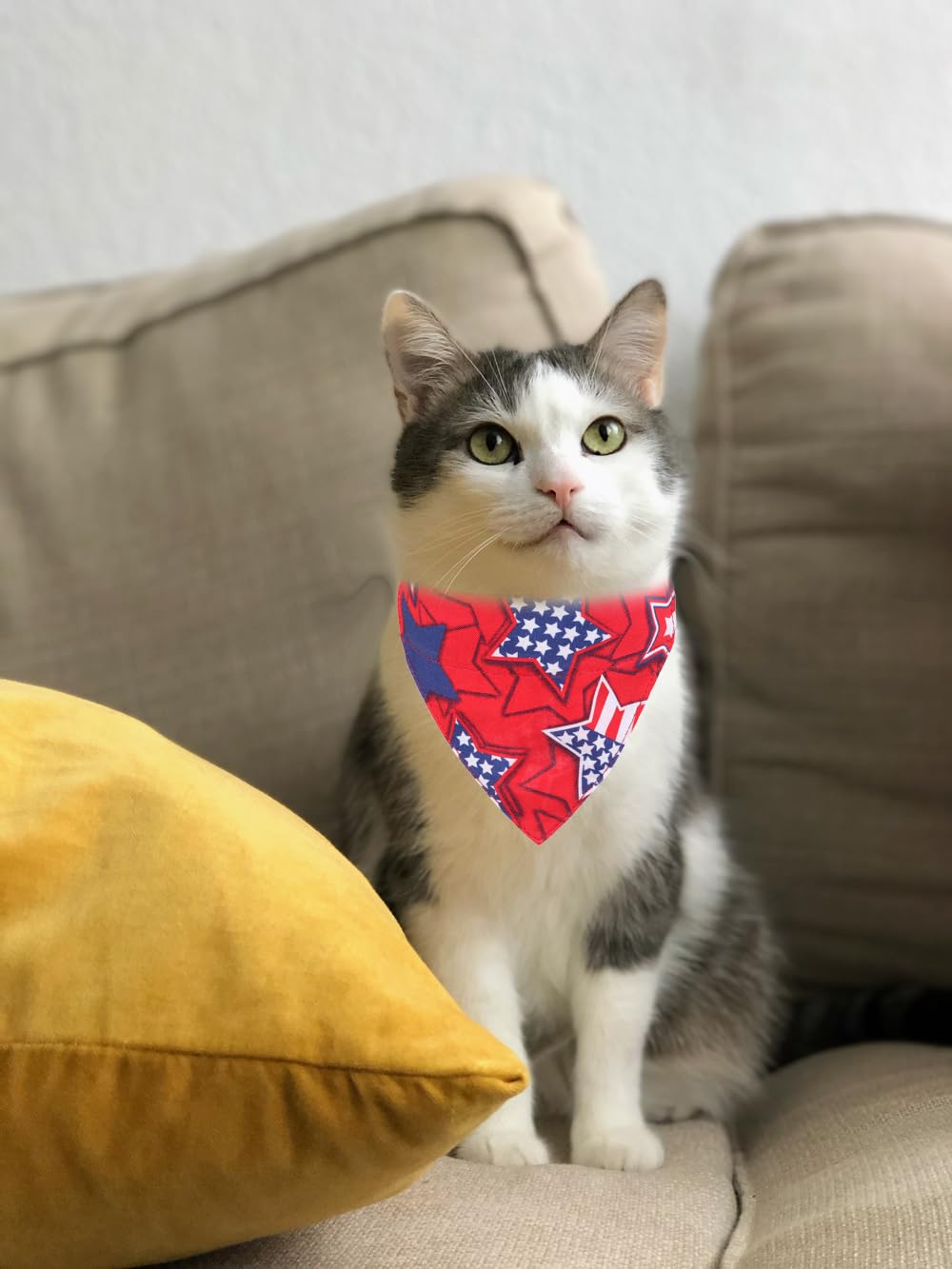 Independence Day Cat Collars American Flag Breakaway With Bandana Bell Pet Kitten Collar Adjustable For Small Dog Puppies Girl B