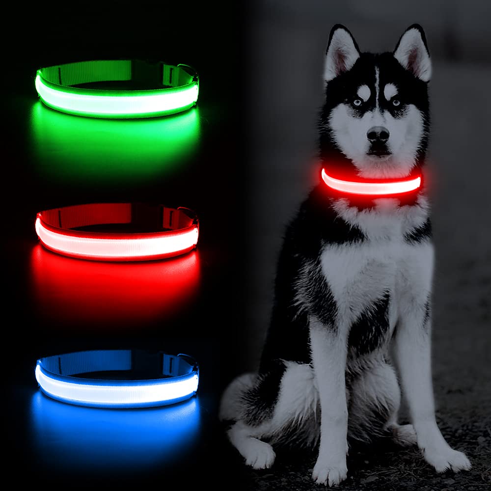 Yfbrite Ultra Light Usb Rechargeable Led Dog Collar - Adjustable Light Up Dog Collar - Waterproof Dog Collar - Flashing Dog Collar Visiblity & Safety For Your Dogs (Red, Medium)