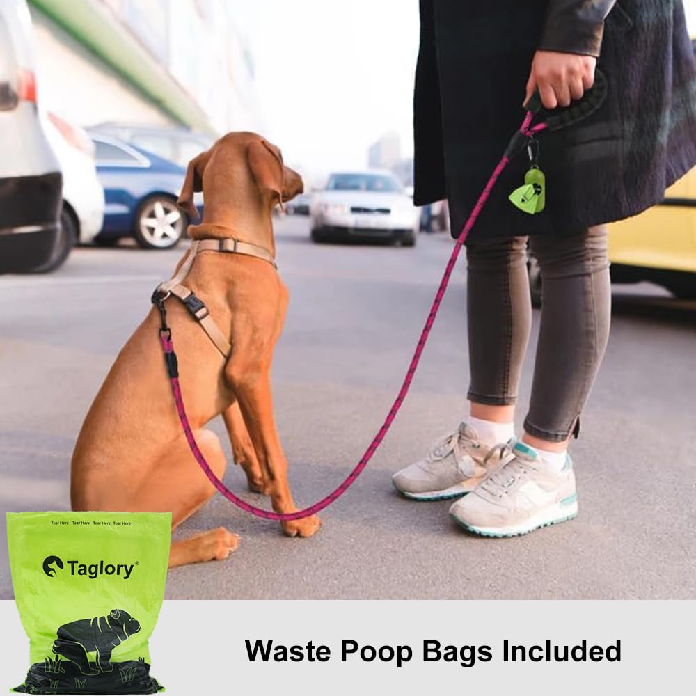 Taglory Rope Dog Leash 4 Ft With Comfortable Padded Handle, Highly Reflective Threads Leash For Small Dogs, 3/8 Inch, Hotpink