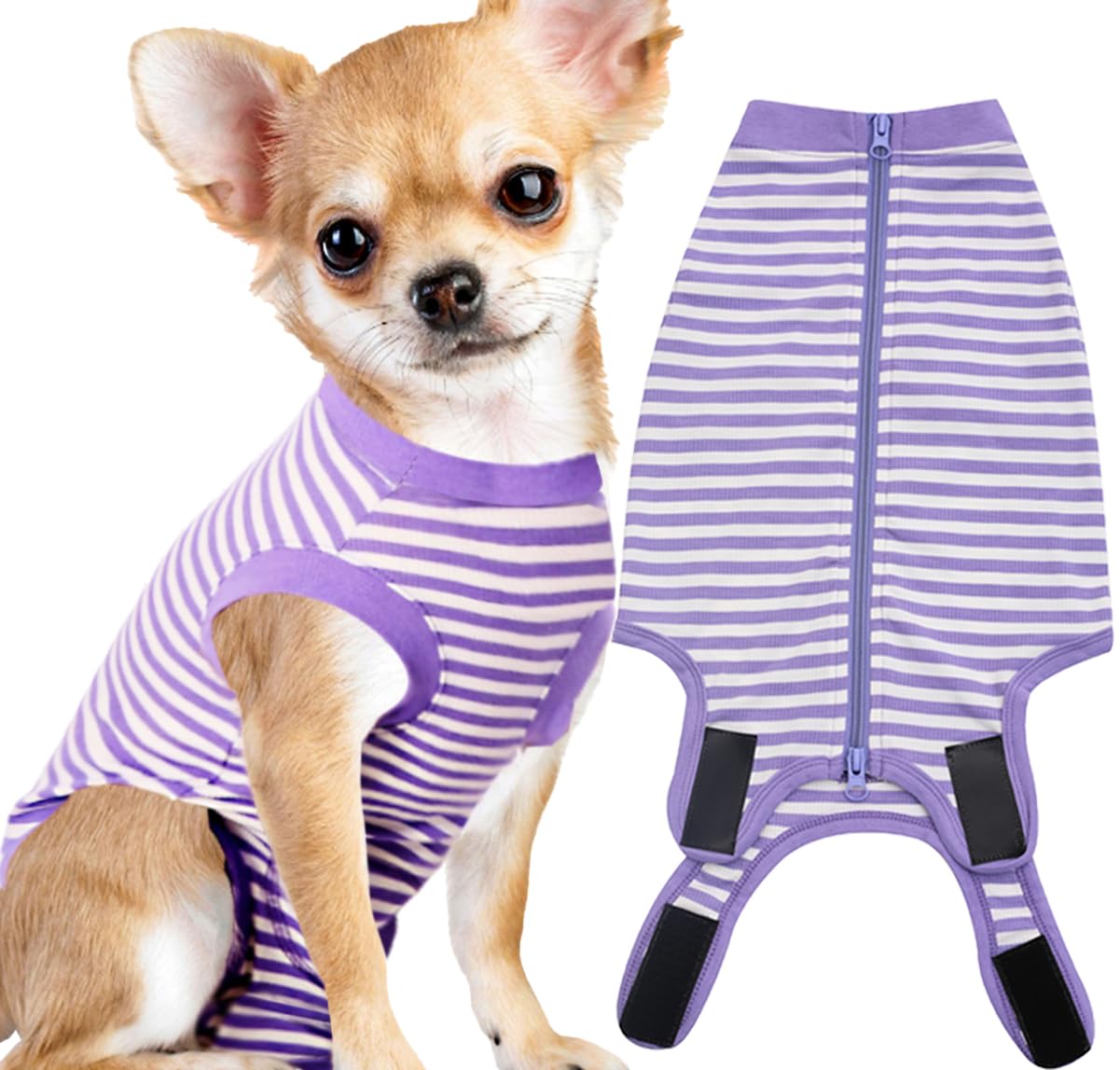 Sychien Dog Recovery Suit Small,Female Spay Male Surgery Recovery Shirt,Soft Combed Cotton Surgical Puppy Suit,S Purple-White St
