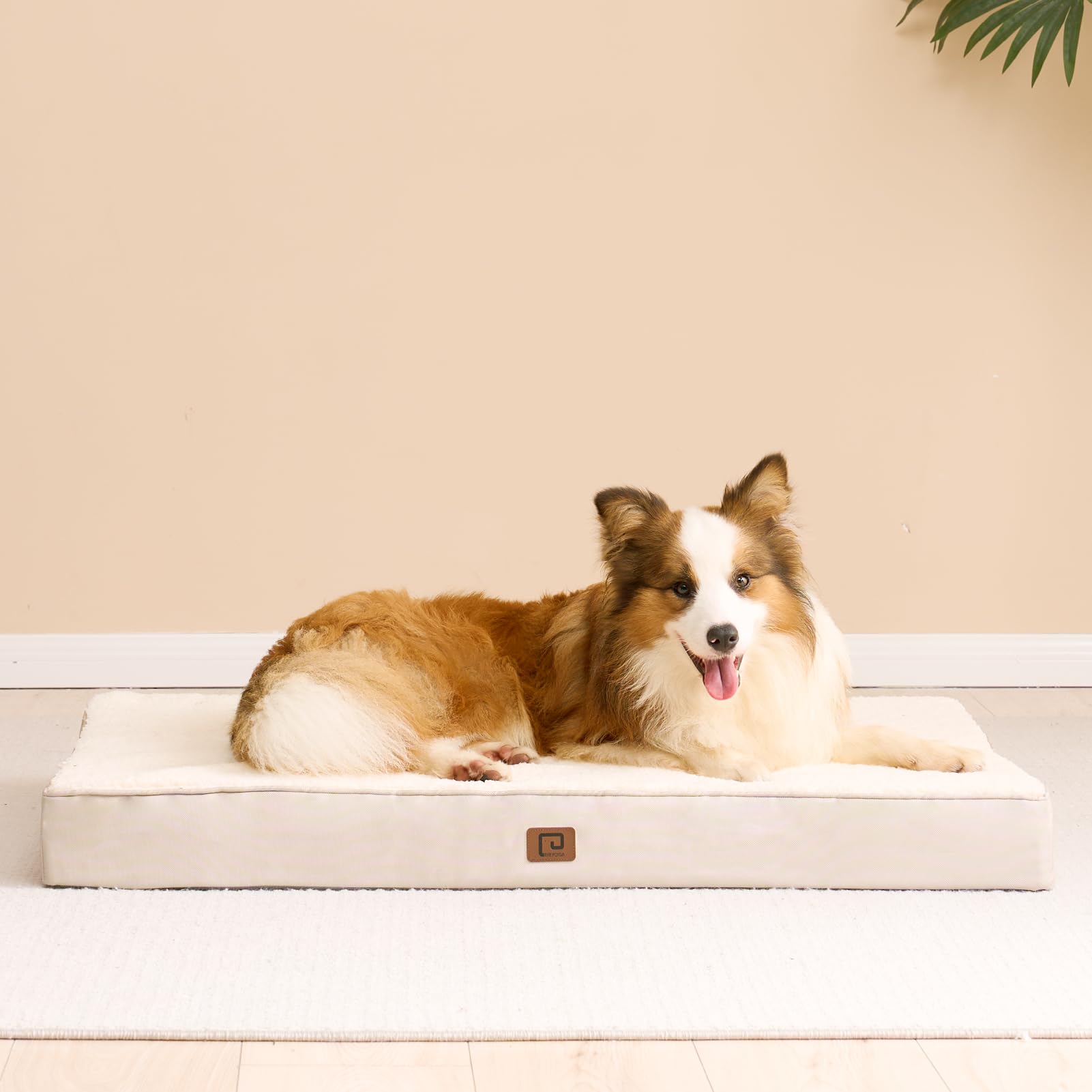 Eheyciga Orthopedic Medium Dog Beds For Small Dogs With Removable Washable Cover For Crate, Camel, 30X20