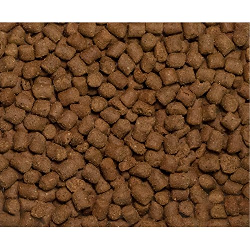 Wysong Optimal Vitality Adult Feline Formula Dry Cat Food, 5 lb