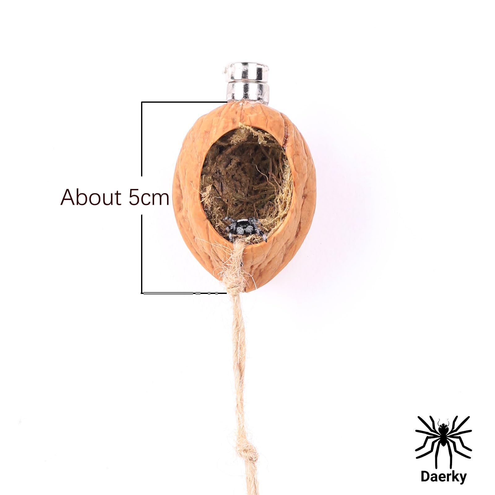 Daerky Walnut Skin Spider Shelter - Magnetic Jumping Spider Habitat, Handmade Enclosure