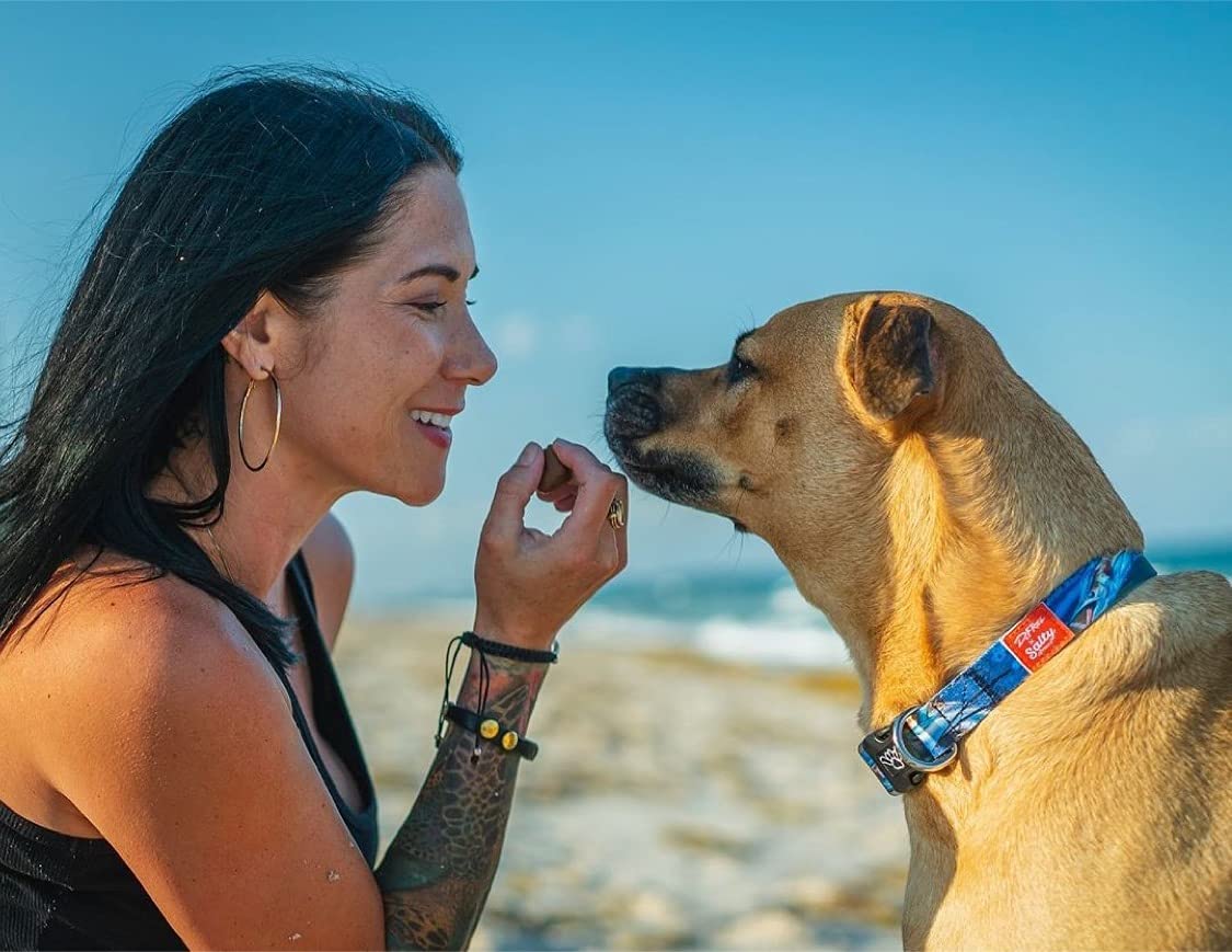 Shaka'S Salty Paws Boy & Girl Dog Collar - Small, Medium, Large (Medium: 14-20'' For Dogs 25-50 Lbs, Sailfish Print)