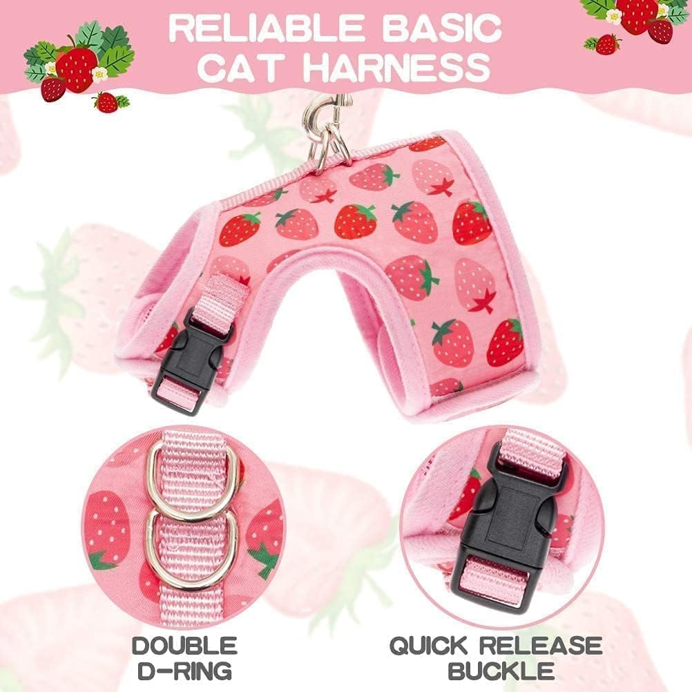 Bingpet Cat Harness With Leash Escape Proof - Fashionable Mesh Cat Dog Walking Harness Leads, Adjustable For Kitties Puppies Small Animals