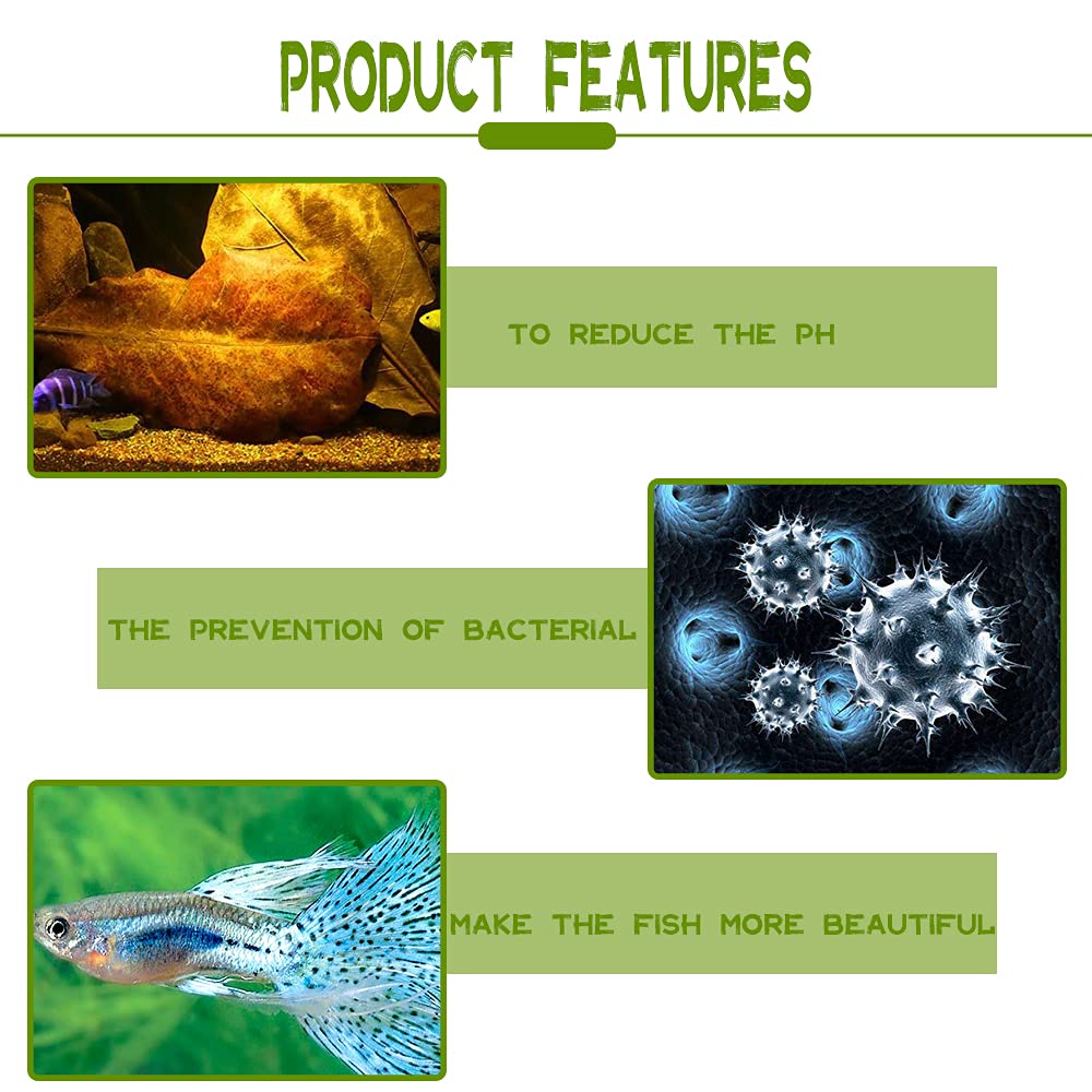 LeonBach 100 Pcs Large Catappa for Fish,5-8 Inch 250g Indian Almond Leaves Creates Native Environment,Catappa Leaves Beta Fish L