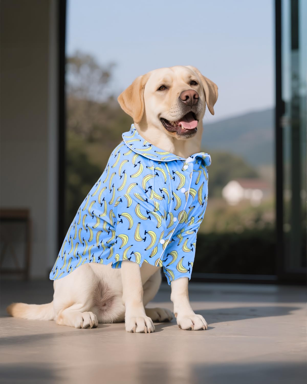 Cutebone Two-Leg Spandex Crystal Velvet Pet Pajamas - Soft, Cozy, And Stretchy Sleepwear For Dogs And Cats Ltp03-3Xl