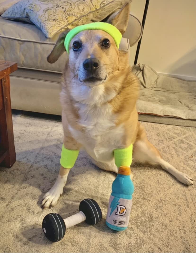 Nestpark Fitness Funny Dog Toys - Doggyade And Doggy Dumbbell Workout Parody Cute Dog Toys - 2 Pack (Workout Pack)