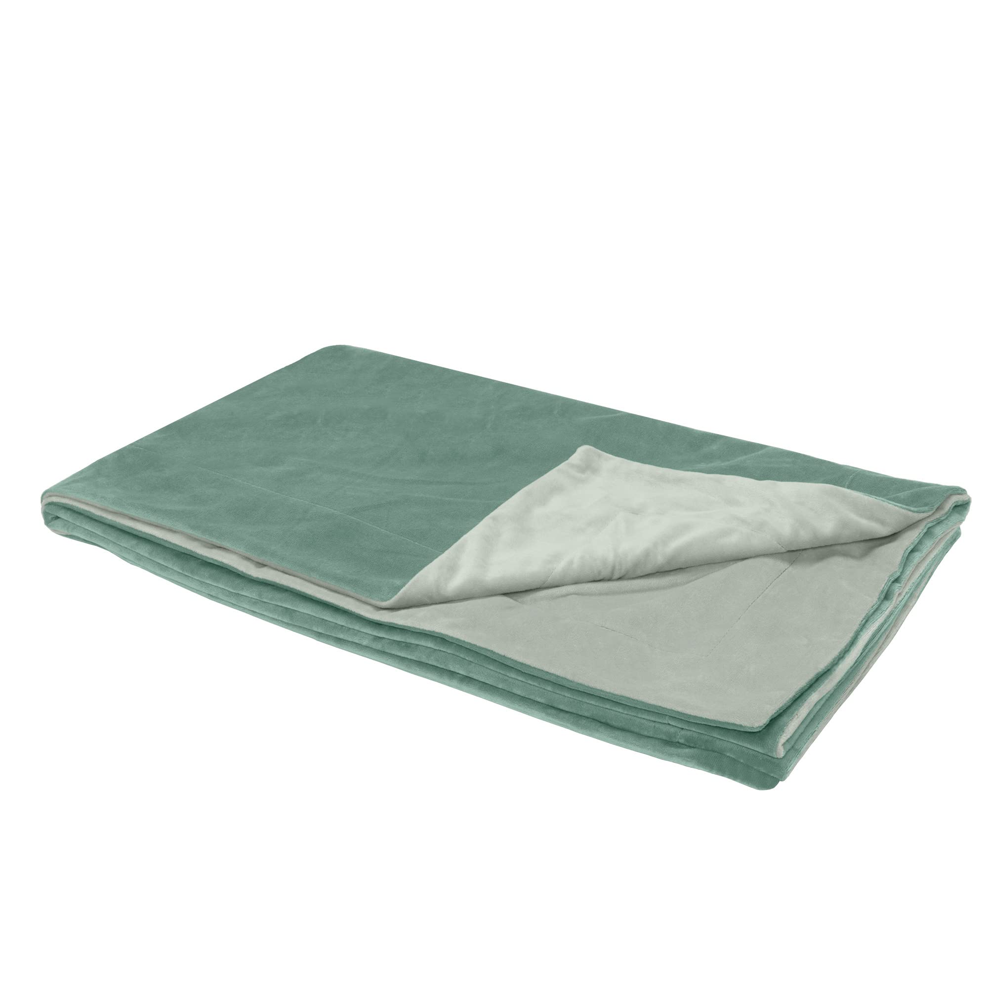 Furhaven Waterproof Throw Blanket For Dogs & Indoor Cats, Washable - Two-Tone Luxe Velvet Dog Blanket - Celadon Green, Extra Lar
