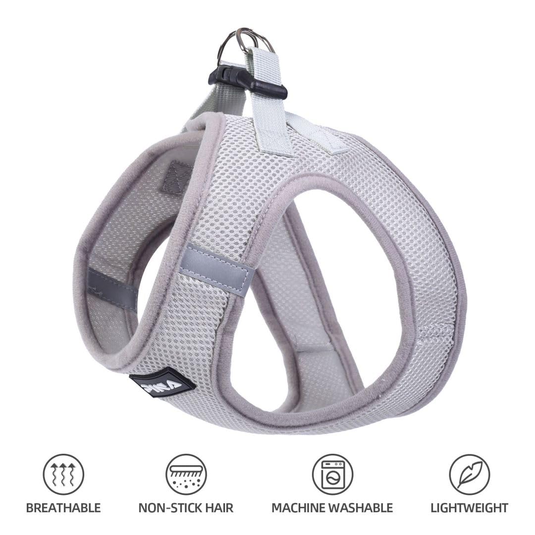 Pina Dog Harness For Small Dogs No Pull, Small Dog Harness And Leash Set, No Choke Breathable Mesh Dog Vest Harness, Lightweight