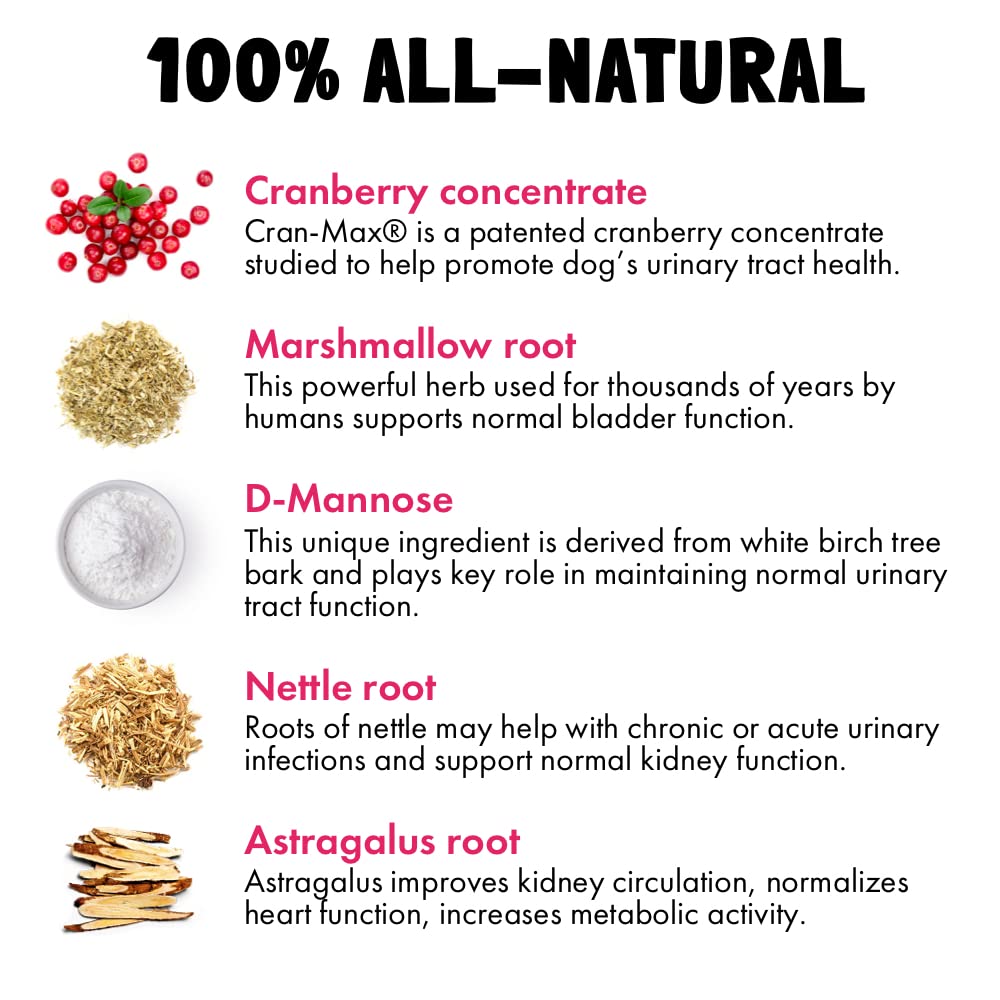 Cranberry UTI Chews for Dogs Bladder Support + D-Mannose Supports Kidney Urinary Tract and Bladder Health Natural Cranberry Well