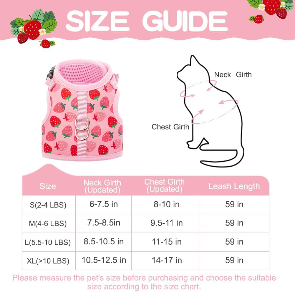Bingpet Cat Harness With Leash Escape Proof - Fashionable Mesh Cat Dog Walking Harness Leads, Adjustable For Kitties Puppies Small Animals
