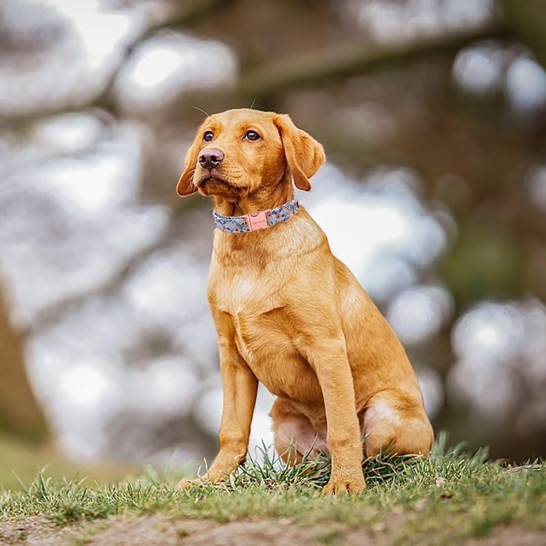 Unique Style Paws Dog Collar Metal Buckle Red Rose Collar Flower Gift Durable Cute Collar For Small Medium Large Boys Girls Dogs