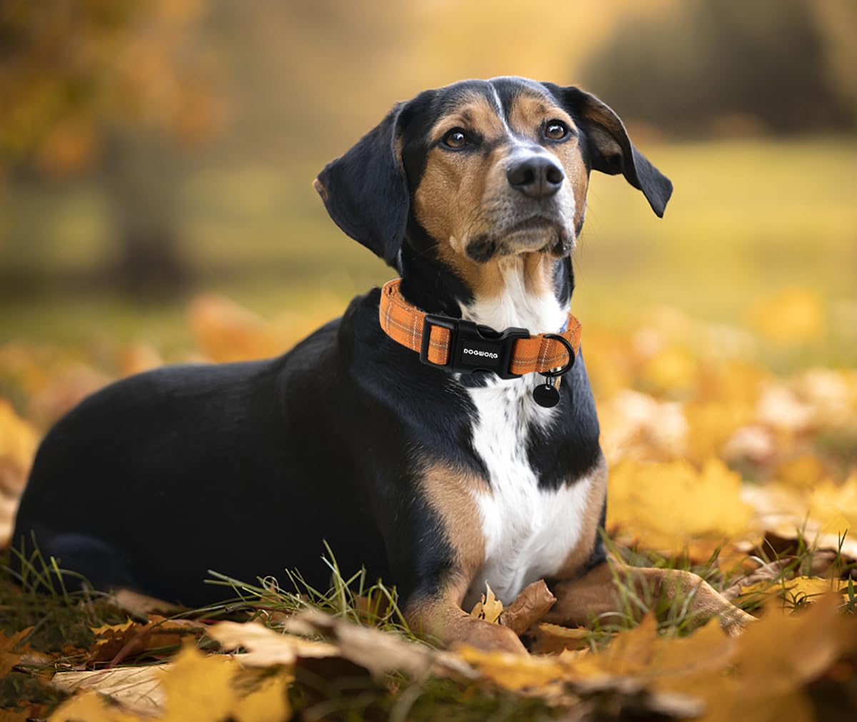Dogwong Cotton Dog Collar, Heavy-Duty Fall Dog Collar Durable Soft Fabric Pet Dog Collar Cute Halloween Puppy Necklace For Small Medium Large Dog