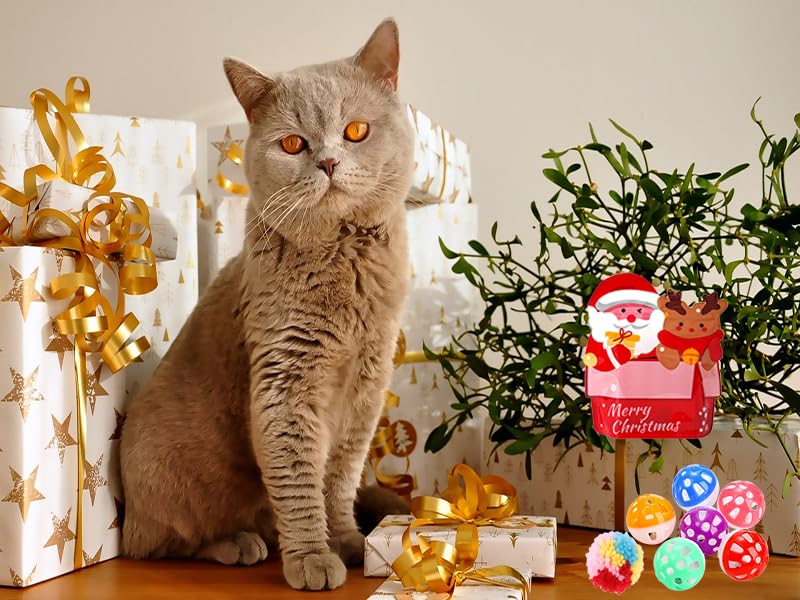 Kitchstar 25 Pack Christmas Cat Toy, Kitten Toy Bag Set Assorted With Cat Spring Toy, Cat Ball Toy, Crinkle Cat Toy, Mouse For C